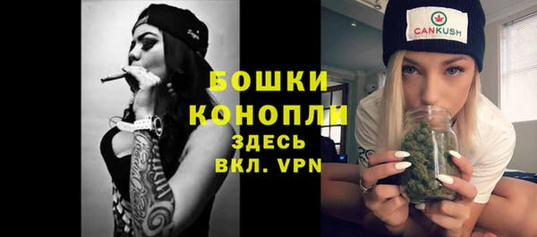 прущие крисы Новодвинск