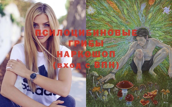 прущие крисы Новодвинск
