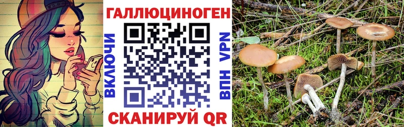 Галлюциногенные грибы мицелий  Луза 